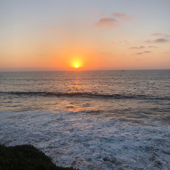 Meet your Posher, Kylie - Picture 1 of 1